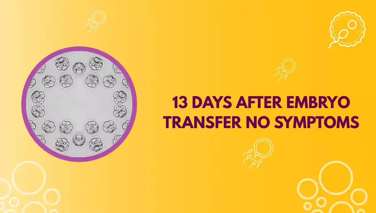 Intracytoplasmic Sperm Injection (ICSI)