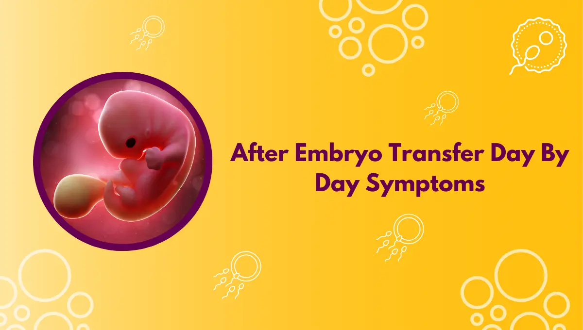 After Embryo Transfer Day By Day Symptoms