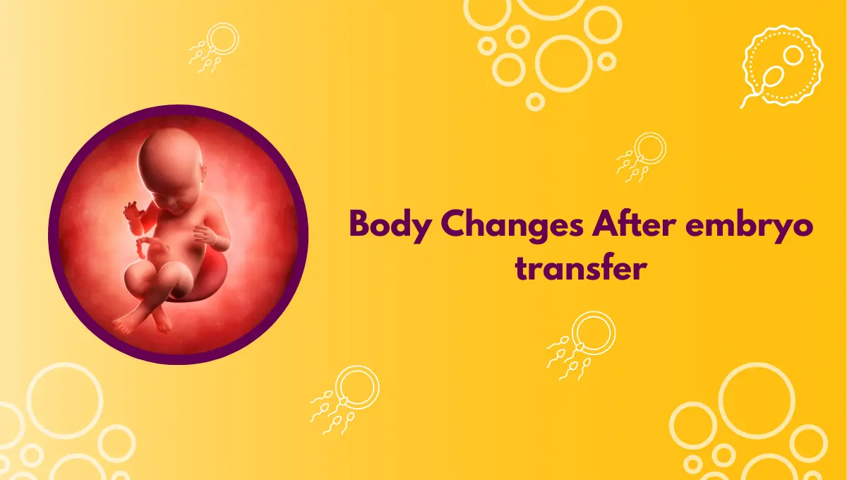 Body Changes After embryo transfer