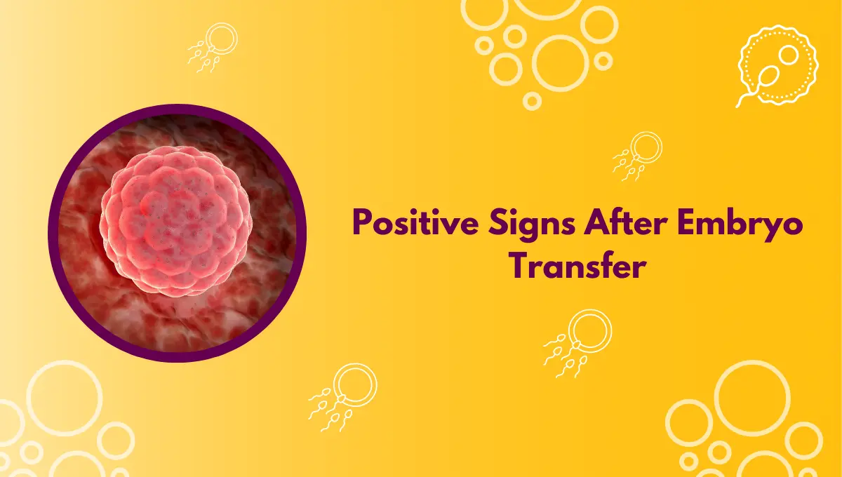 Positive Signs After Embryo Transfer