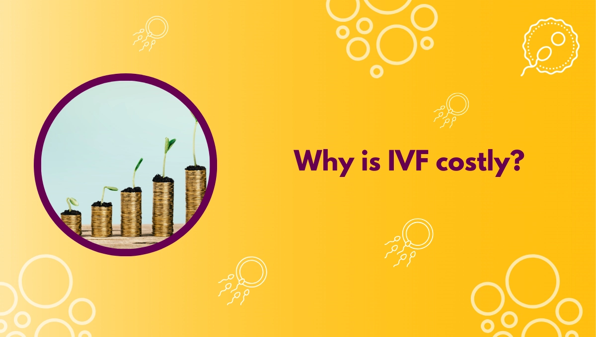Why is IVF costly